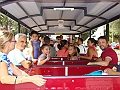 Trenino (17)